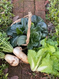 a basket filled with green leafy vegetables on top of a brick floor next to grass