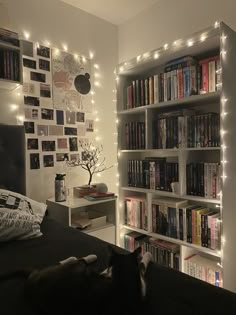 a cat laying on top of a bed next to a book shelf filled with books