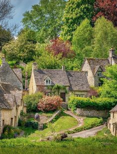 an old village with stone houses and trees in the background