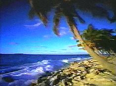 the beach is lined with rocks and palm trees