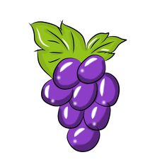 a bunch of grapes with green leaves on the top and purple berries on the bottom