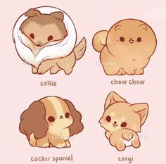 four different types of dogs with their names in english and spanish on the front side