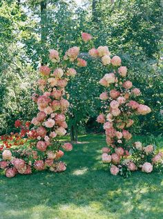 an arch made out of pink flowers in the middle of a green lawn with lots of trees