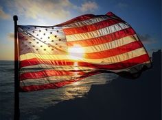 Sunny, patriotic and beautiful. Happy Fourth Of July, Home Of The Brave, Happy 4 Of July, Veterans Day