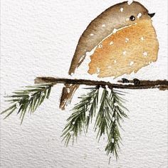 a watercolor painting of a bird perched on a branch with pine needles in the foreground