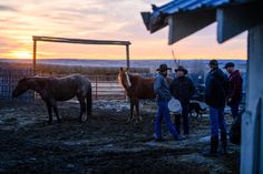 several people standing around with horses in an enclosure at sunset or dawn, one person is holding a hat and the other two are wearing cowboy hats