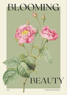 a pink flower on top of a green background with the words, blooming beauty