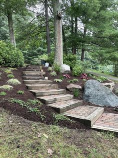 some steps leading up to a tree in the woods