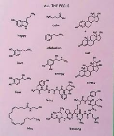 an image of the formulas for all the feelings in this poster on pink paper