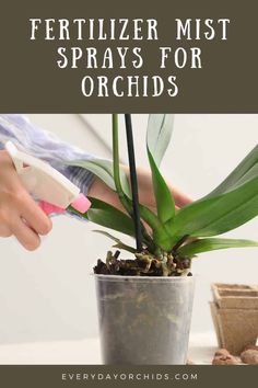 a person is using a spray bottle to clean a potted plant with text overlay that reads fertilizer mist sprays for orchids