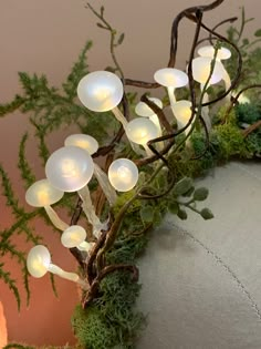 a bunch of white flowers sitting on top of a green plant covered in leaves and moss