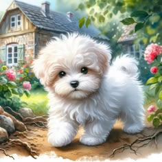 a small white dog standing on top of a dirt ground next to flowers and a house