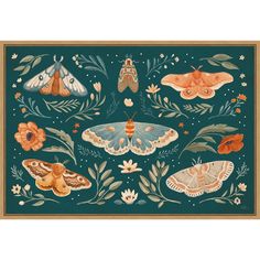 an image of moths and flowers on a blue background with green leaves, oranges and white