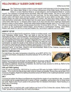 the yellow - bellied slider care sheet is shown with information about its habitat