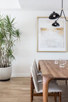 a dining room table with chairs and a potted plant