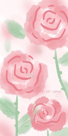 three pink roses with green leaves on a white background and the words love is in the air