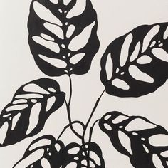 a black and white drawing of some leaves