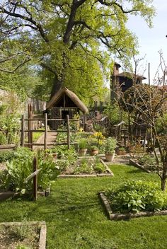 a garden with lots of plants and trees