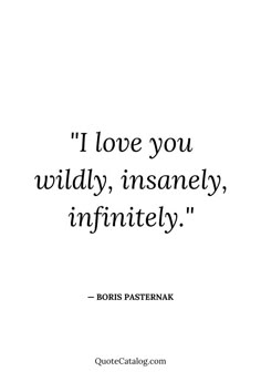 a quote that says i love you wildly, insannely, infinitiesily