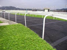 an empty race track with white railings and green grass