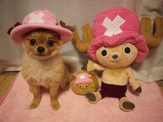 two small dogs sitting next to each other on a pink blanket with stuffed animals in front of them