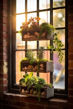 a window sill filled with plants and rocks