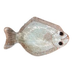 an image of a fish on a white background