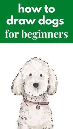 a white dog sitting on top of a green and white background with the words how to draw dogs for beginners