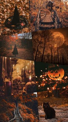 a collage of halloween images with pumpkins and witches in the woods, including a black cat