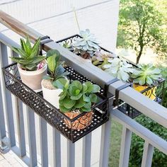 two trays with succulents and other plants on a balcony railing next to trees