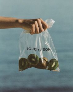 a person holding a plastic bag filled with kiwis on top of the ocean