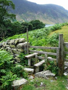 a wooden bench sitting on top of a lush green hillside next to a stone wall