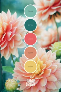 flowers with different shades and names on them