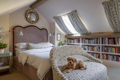 a dog sitting on a chair in a bedroom