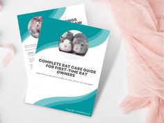 the complete rat care guide for first - time rat owners is on display next to pink flowers