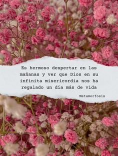 a piece of paper that is in front of some pink flowers with the words,'es hermos depertar en las manas y ver que dios en su