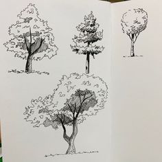 an open book with trees drawn on it