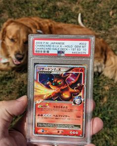 a person holding up a pokemon card in front of a dog laying on the grass