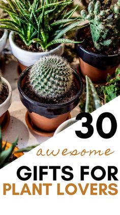 some potted plants with the words 30 awesome gifts for plant lovers