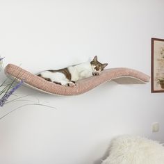 a cat laying on top of a pink bed