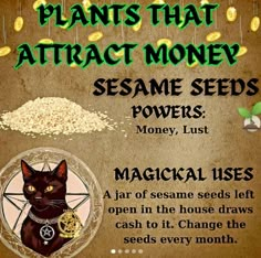 a poster with an image of a black cat and money on the bottom, says plants that attract money sesame seeds powers money list