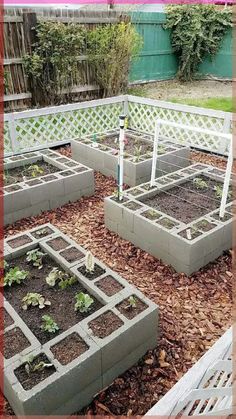 several raised garden beds with plants growing in them