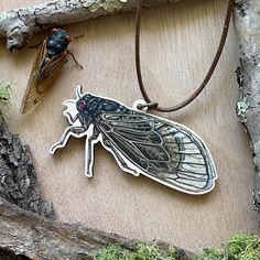 Size: 2.5"x1.25" Depth: .15" Cord Length: 18" Material: sustainable maple wood, waxed faux brown leather cord and brass hardware Insect: Periodical Cicada (Brood XIX) This sustainably sourced wooden necklace is great for the insect lover in your life! The necklace is a print of an original watercolor painting titled "Albus the Periodical Cicada".  The back of the necklace is natural wood and is hand signed by the artist. The Story Behind the Painting: I have always wanted to do a cozy painting w Cicada Necklace, Cicada Art, Wooden Necklace, Garden Gifts, Leather Cord, Original Watercolor Painting, Small Pets, Tennessee, Natural Wood