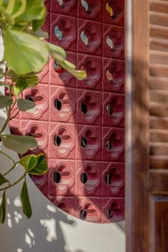 a red wall with holes in it next to a potted plant