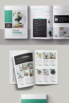 an open brochure with green and white accents