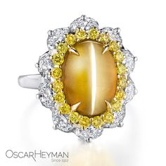 This cat's-eye chrysoberyl ring makes us purr with delight! Jewelry Drawings, Cats Eye Gem, Chrysoberyl Ring, Dispersion Of Light, Stone Ring Design, High Jewelry Ring, Jewellery Design Sketches, Sweet Jewelry, Yellow Jewelry