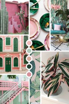 a collage of photos with pink and green walls, palm trees, cactus plants, and plates