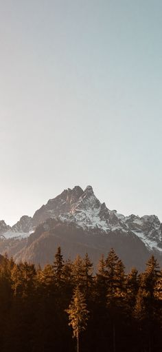 the mountains are covered with snow and trees in the foreground is a field full of grass