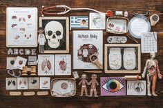 an assortment of items displayed on a wooden table with skeleton figurines and cards