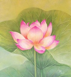 a painting of a pink lotus flower with green leaves